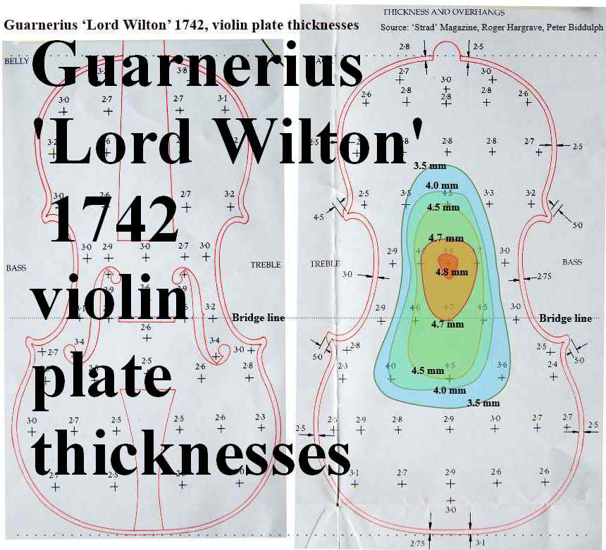 Guarnerius Lord Wilton plate thicknesses smll1
