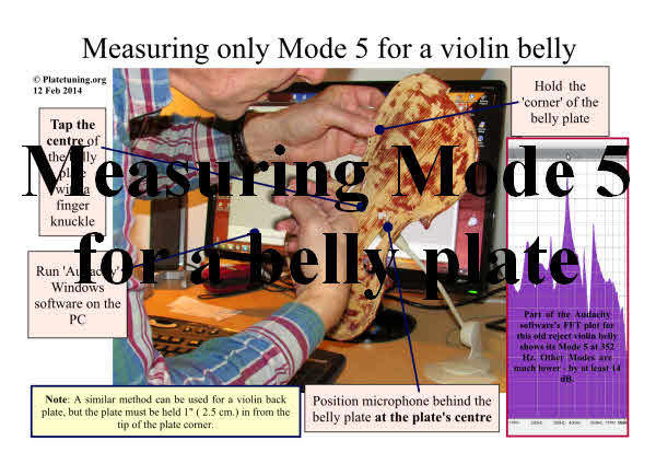 Measuring only Mode 5 for a violin belly plate smll