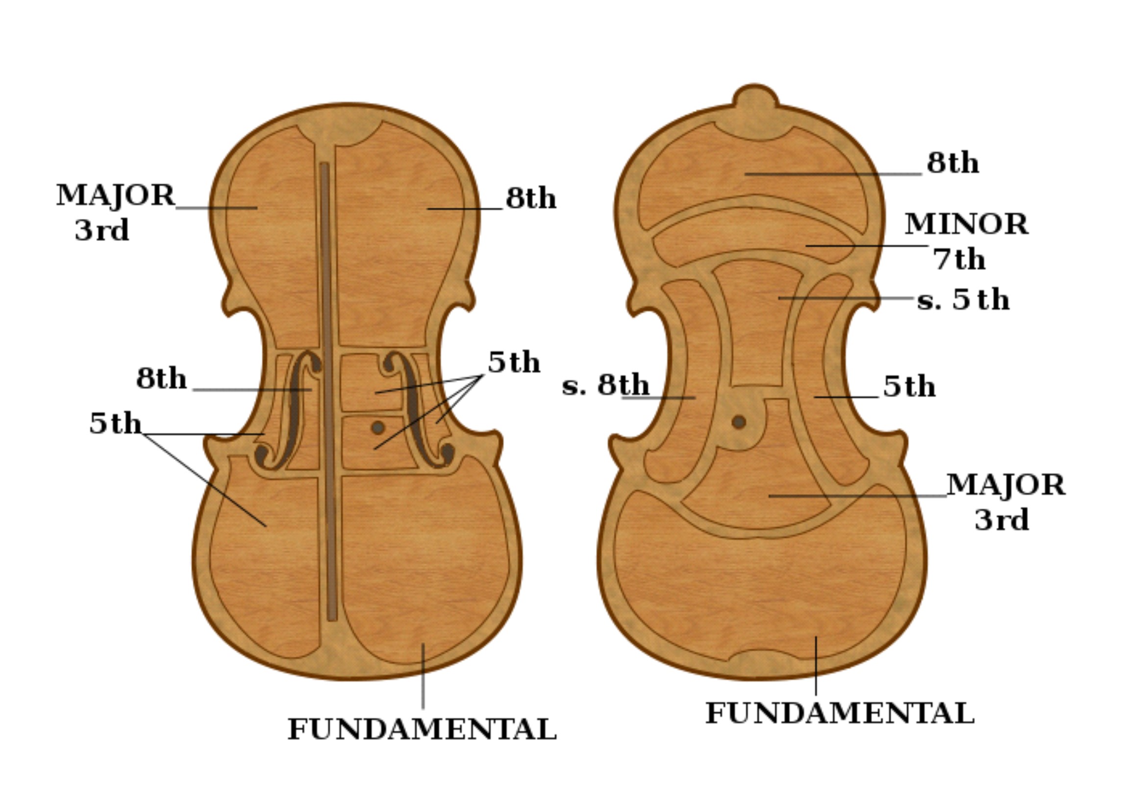 Violin-Area -Plate-Tuning